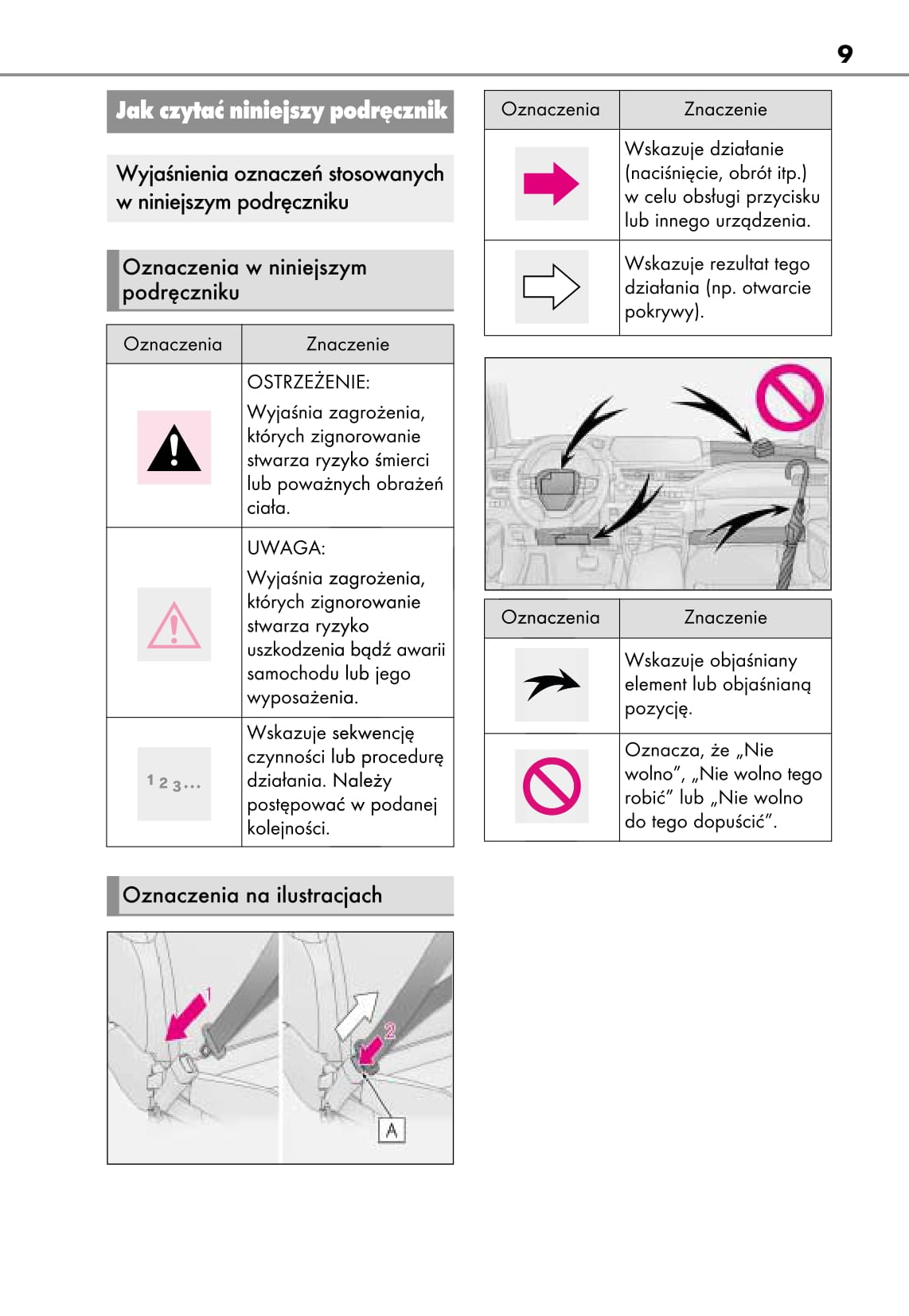 2019 Lexus UX 250h Gebruikershandleiding | Pools