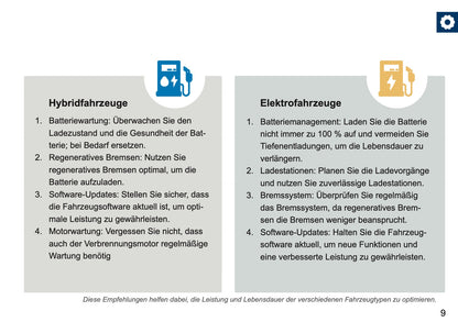 Lexus Maintenance Book | German