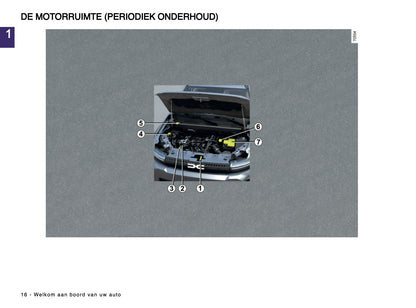 2024-2025 Dacia Bigster Owner's Manual | Dutch