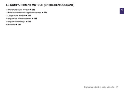 2024-2025 Dacia Sandero/Sandero Stepway Owner's Manual | French