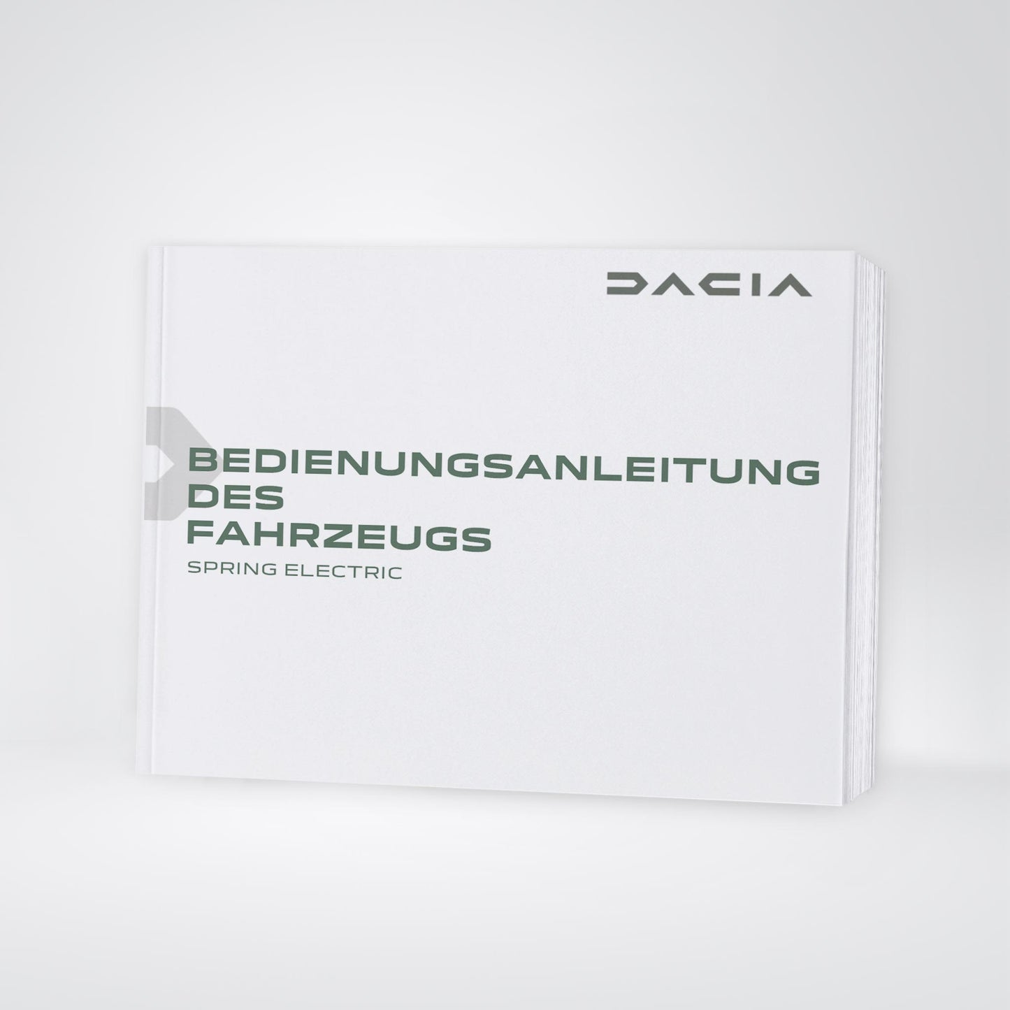 2024-2025 Dacia Spring Electric Owner's Manual | German