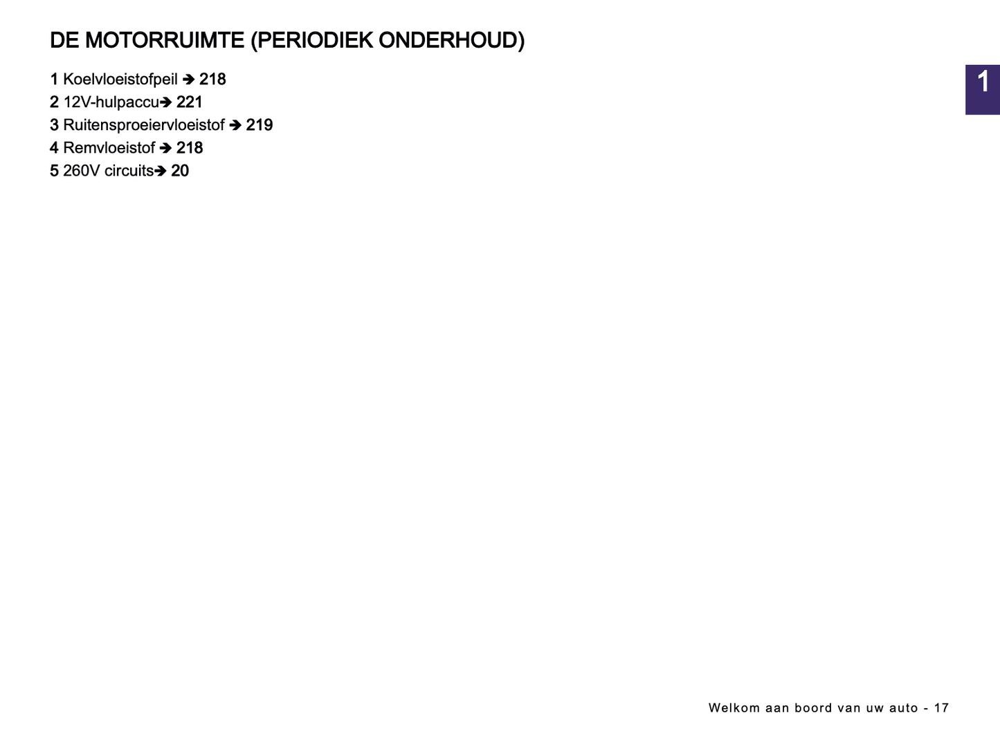 2024 Dacia Spring Electric Owner's Manual | Dutch