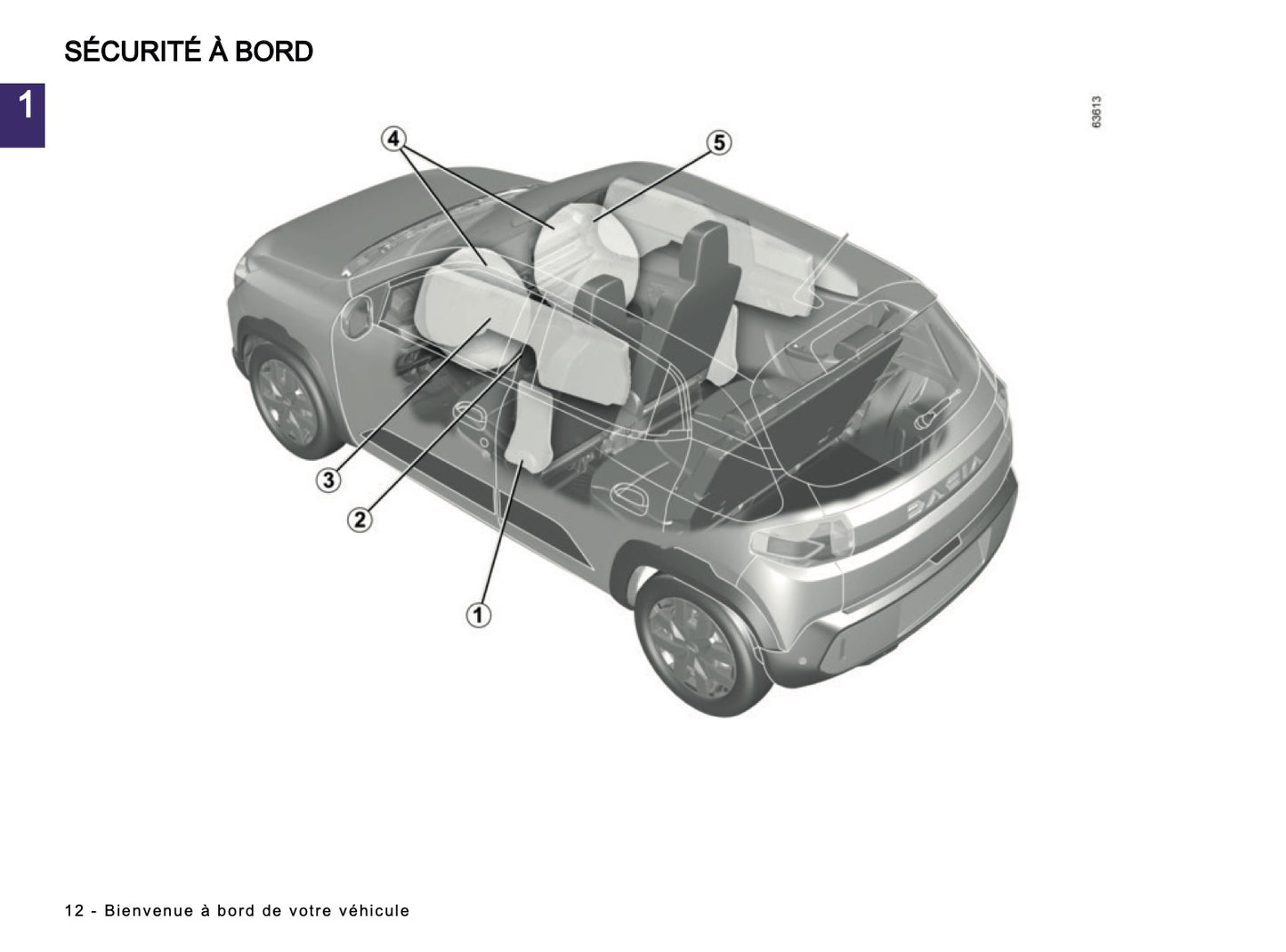 2024-2025 Dacia Spring Electric Owner's Manual | French