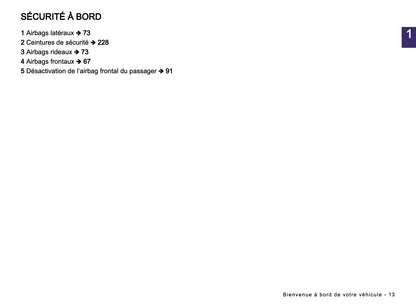 2024-2025 Dacia Spring Electric Owner's Manual | French