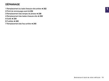 2024-2025 Dacia Spring Electric Owner's Manual | French