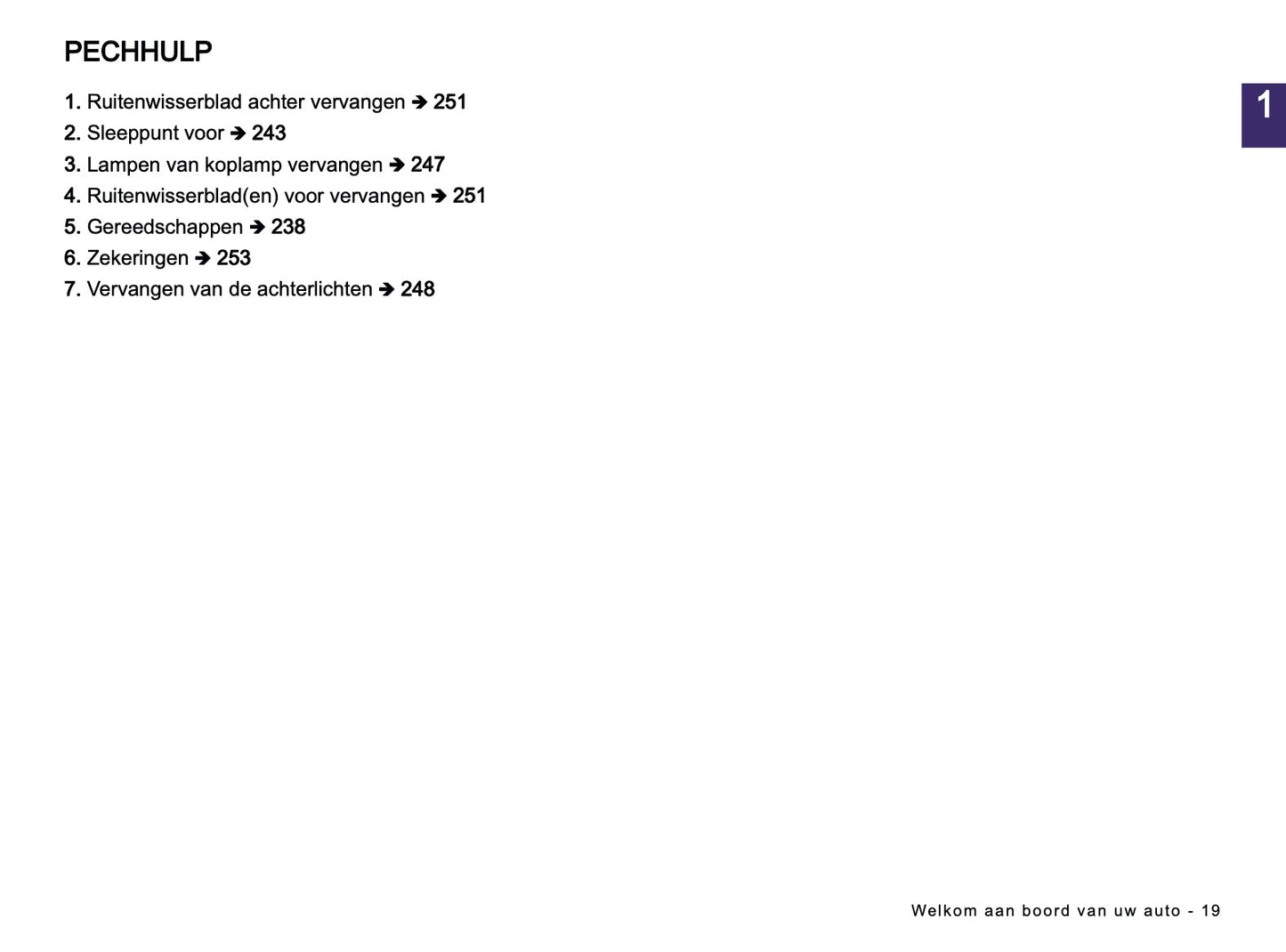 2026 Dacia Spring Electric Owner's Manual | Dutch