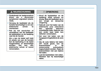 2020-2021 Hyundai Ioniq Electric Owner's Manual | Dutch