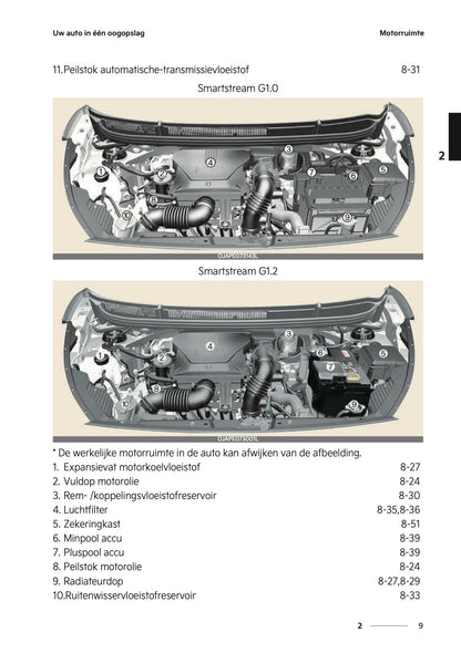 2024-2025 Kia Picanto Owner's Manual | Dutch