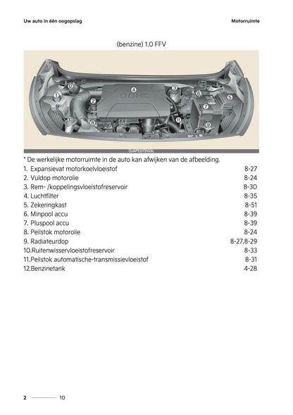 2024-2025 Kia Picanto Owner's Manual | Dutch
