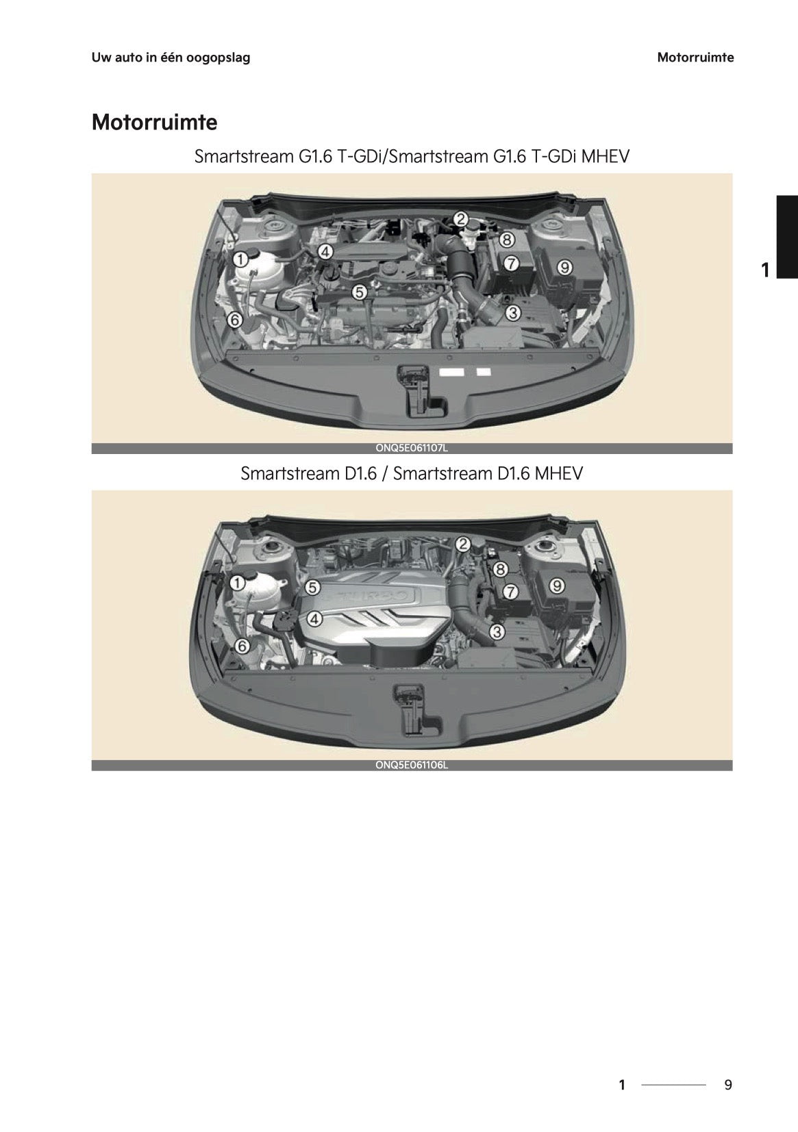 2024-2025 Kia Sportage Owner's Manual | Dutch