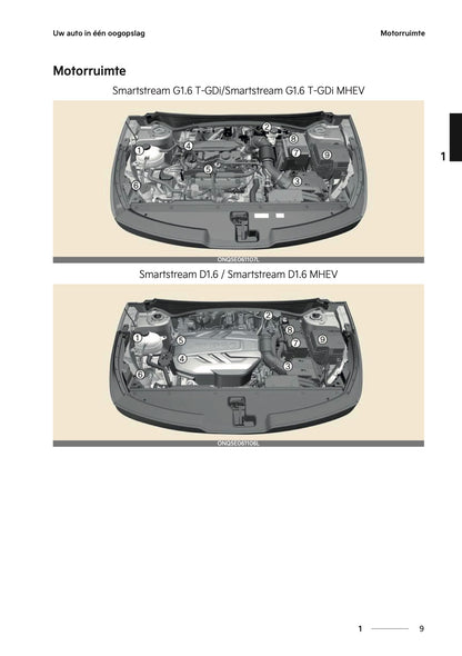 2024-2025 Kia Sportage Owner's Manual | Dutch