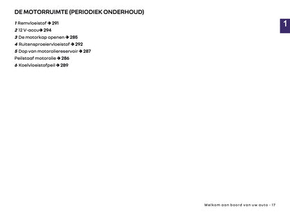 2025-2026 Renault Arkana Owner's Manual | Dutch