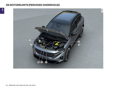 2025 Renault Austral Owner's Manual | Dutch