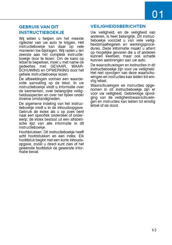 2020 Hyundai i10 Owner's Manual | Dutch