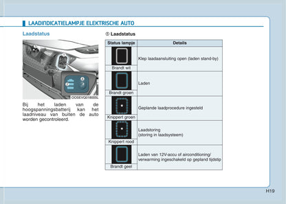 2020 Hyundai Kona Electric Owner's Manual | Dutch