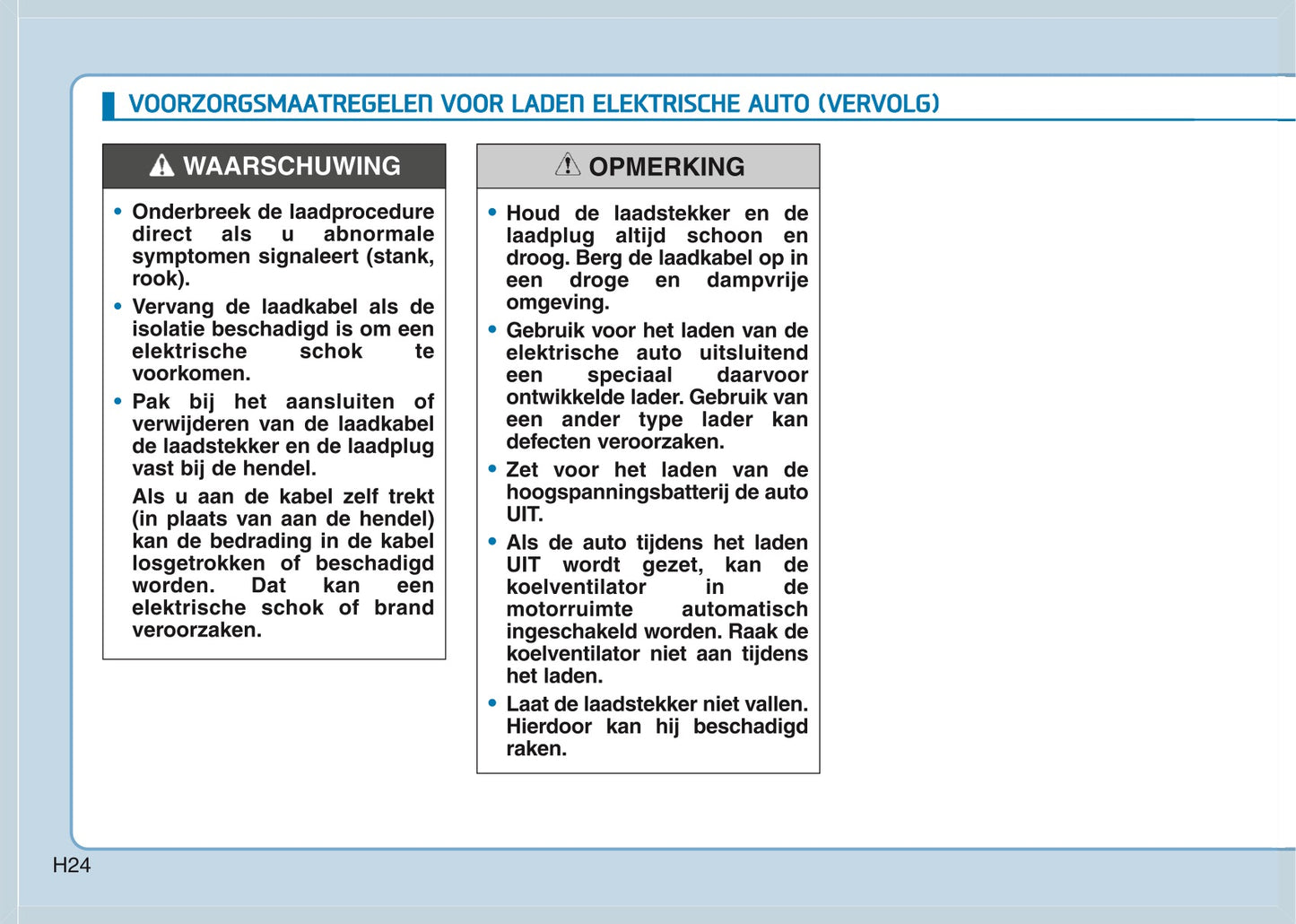 2020 Hyundai Kona Electric Owner's Manual | Dutch