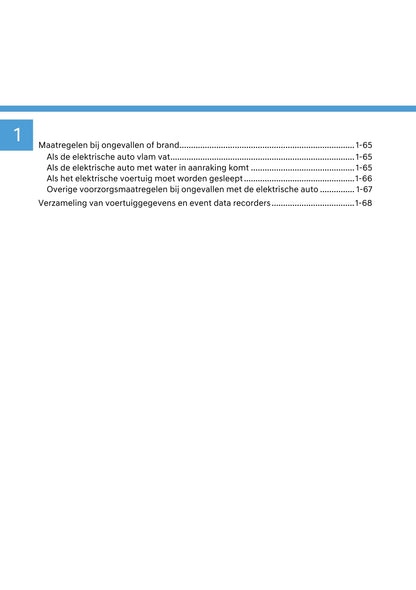 2024 Hyundai Kona Electric Owner's Manual | Dutch