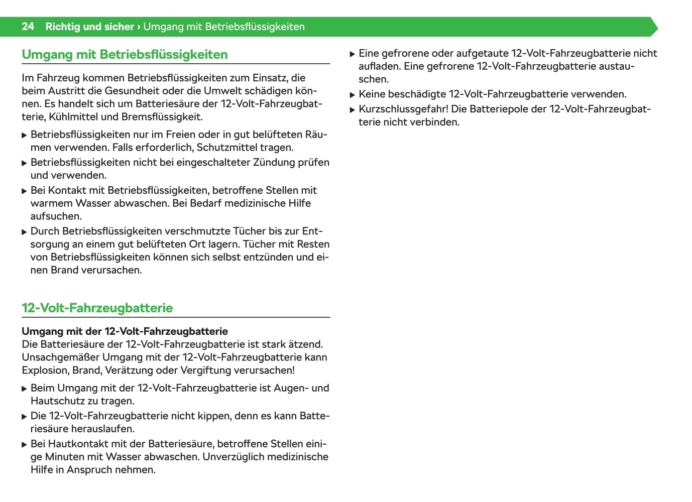 2020-2021 Skoda Enyaq iV Owner's Manual | German