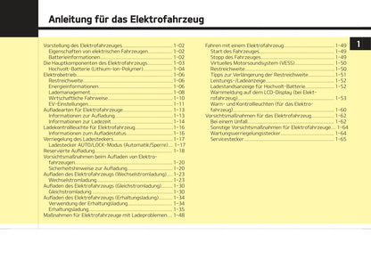 2019-2022 Kia e-Niro Owner's Manual | German