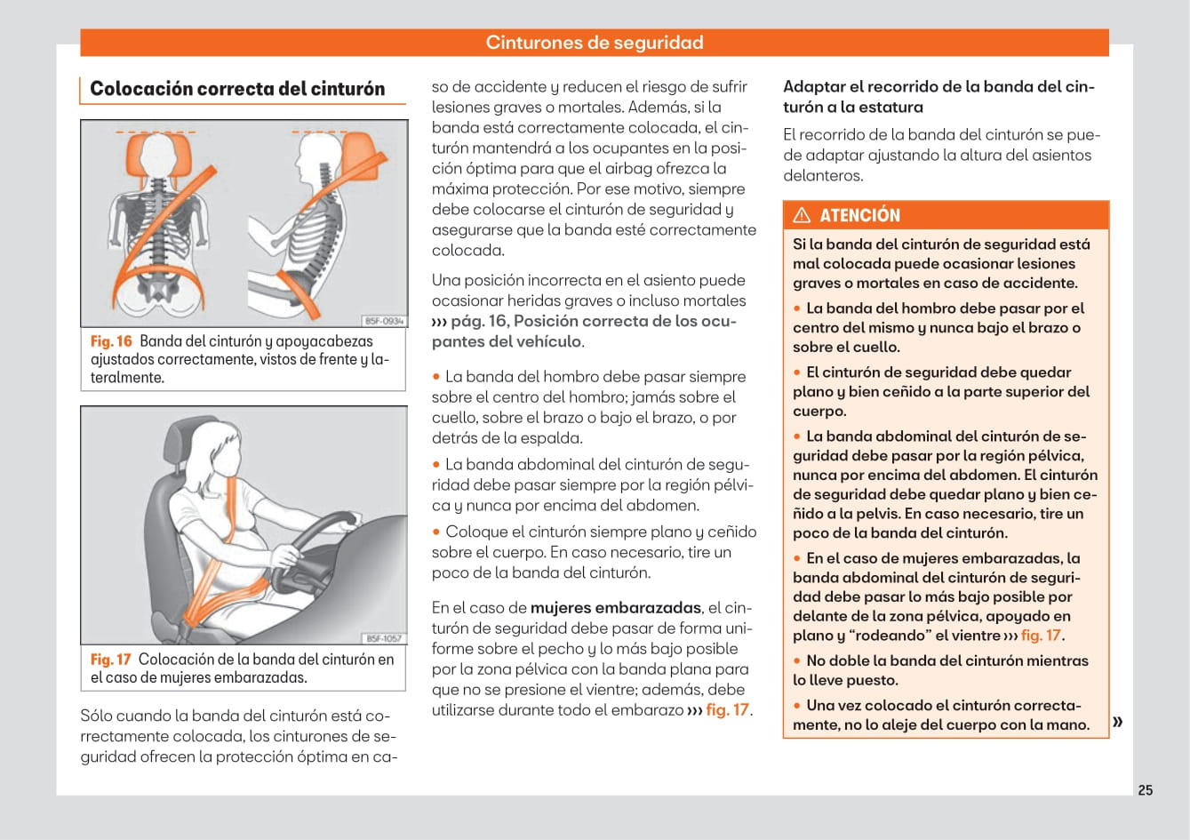 2020-2023 Seat Leon Owner's Manual | Spanish