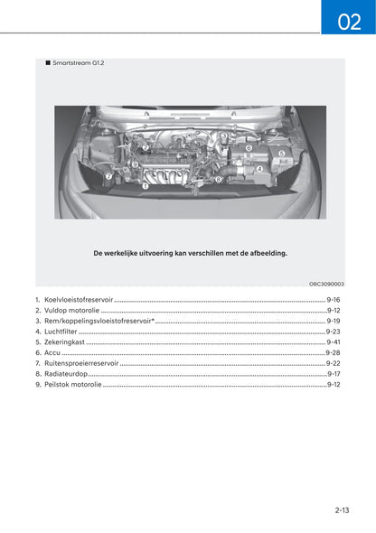 2021-2022 Hyundai i20 Gebruikershandleiding | Nederlands