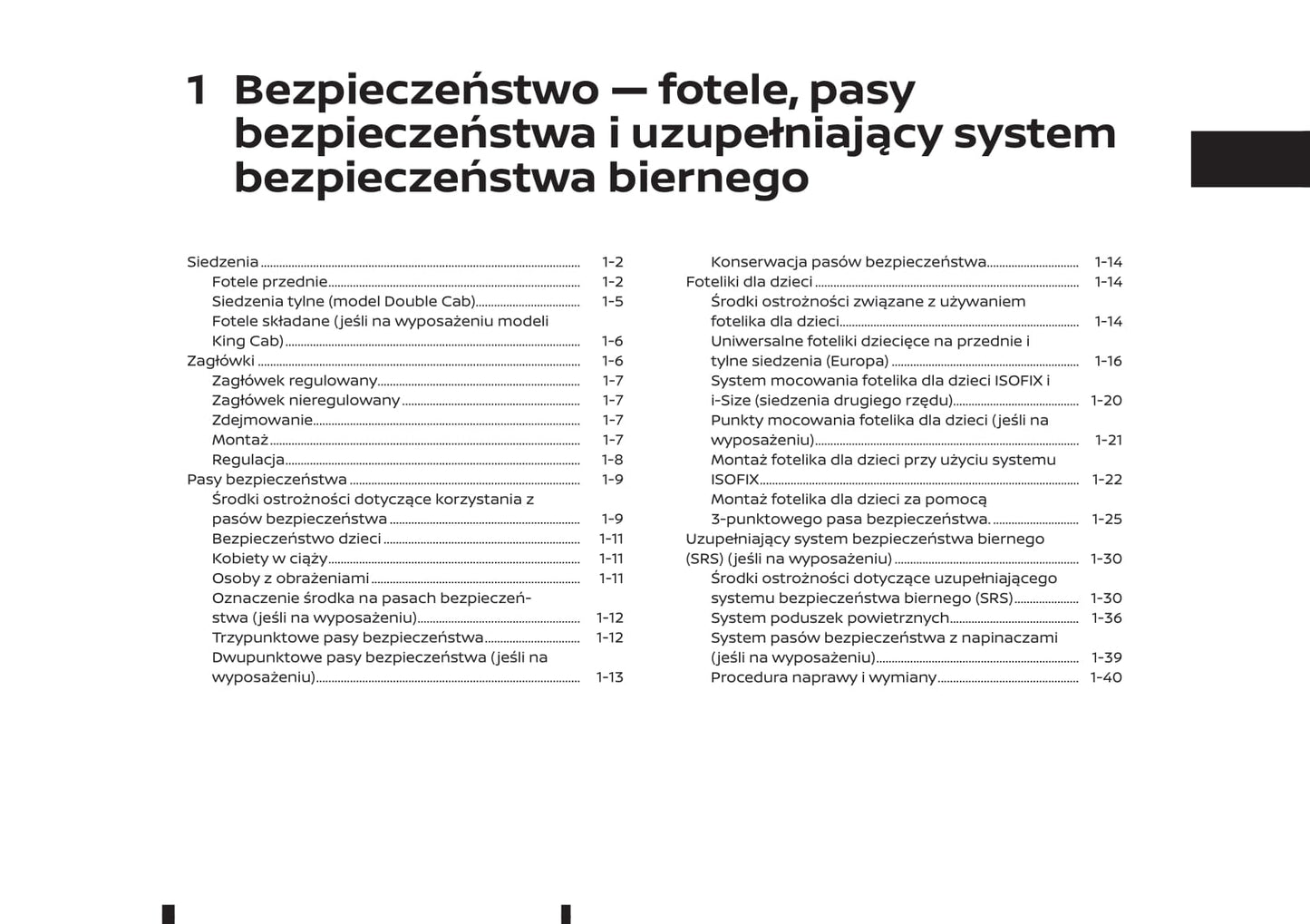 2018-2019 Renault Alaskan Gebruikershandleiding | Pools