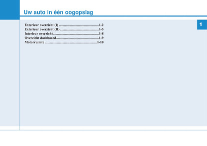 2019-2020 Hyundai i20 Gebruikershandleiding | Nederlands