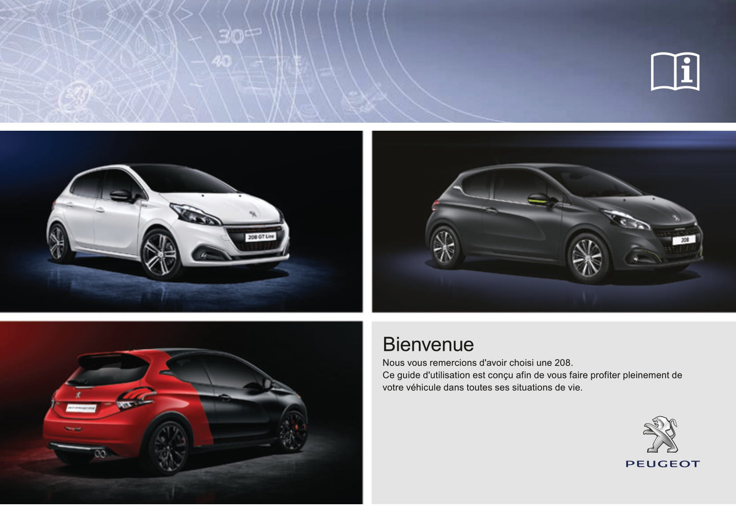 2015-2017 Peugeot 208 Owner's Manual | French