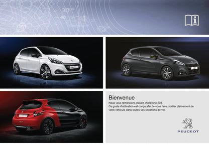 2015-2017 Peugeot 208 Owner's Manual | French