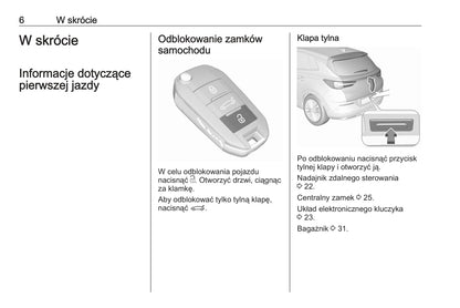 2019-2020 Opel Grandland X Gebruikershandleiding | Pools