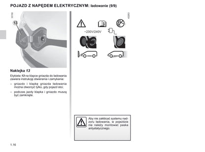 2018-2019 Renault Zoe Gebruikershandleiding | Pools