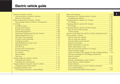 2021-2022 Kia e-Soul Gebruikershandleiding | Engels