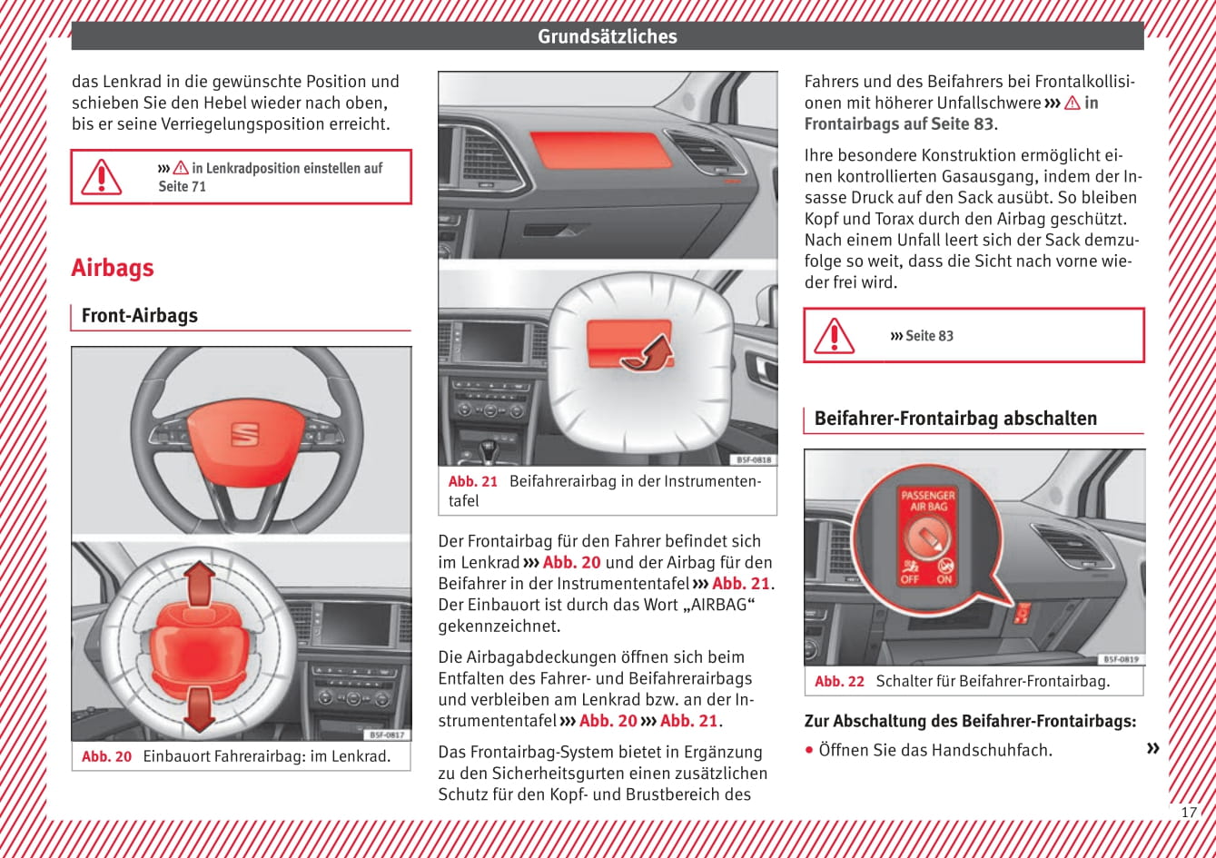 2017 Seat Leon Owner's Manual | German